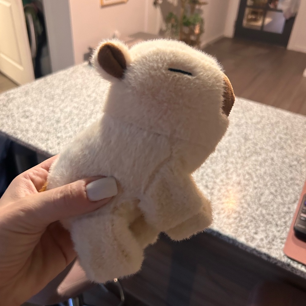 Sloth plush ( capybara 🤣)